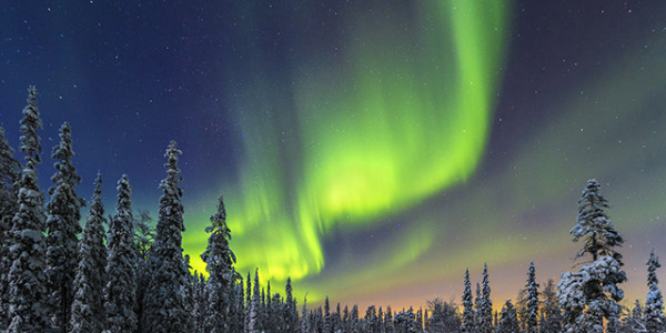 Northern lights over the Pyhae Luosto National Park in northern Finnland.