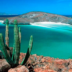 Baja_California
