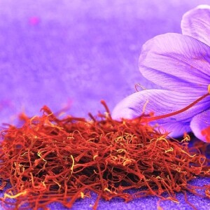Saffron-production-in-Morocco-consists-of-both-modern-and-small-family-owned-plantations-mostly-in-the-Taliouine-region-known-as-the-saffron-capital-of-Morocco.
